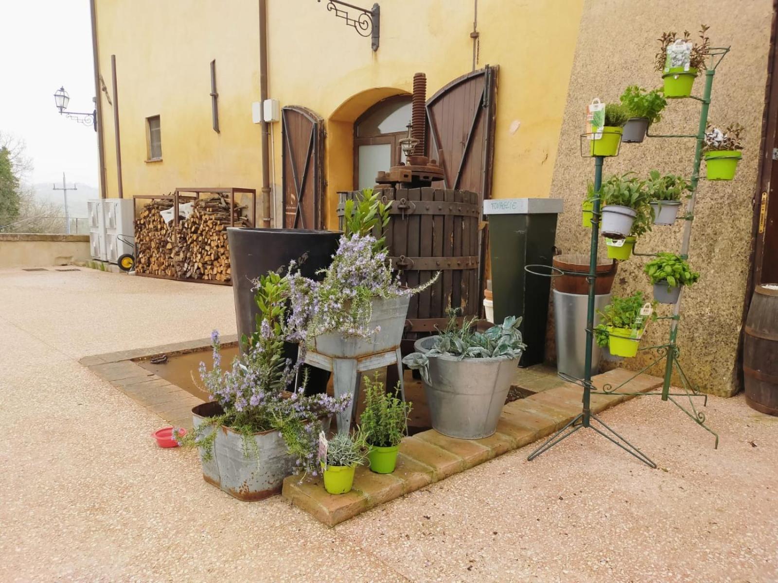 Villa Locanda Di Casigliano à Casigliano  Extérieur photo